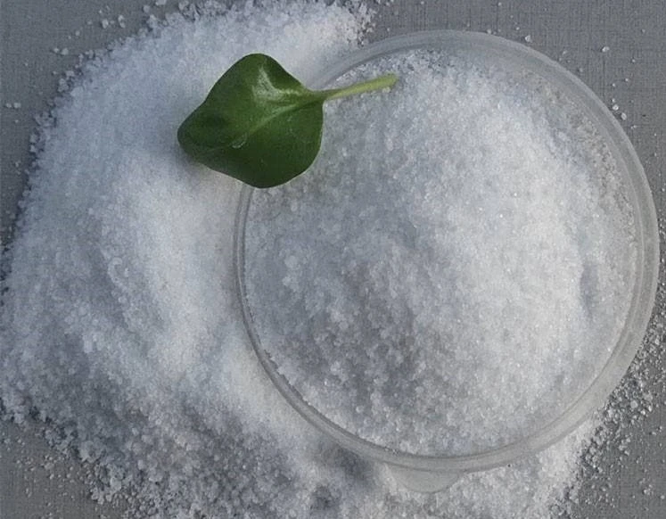 APAM Anion Polyacrylamid