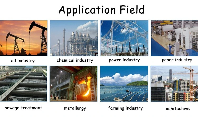 Cationic Partially Hydrolyzed Polyacrylamide Cationic Partially Hydrolyzed Polyacrylamide