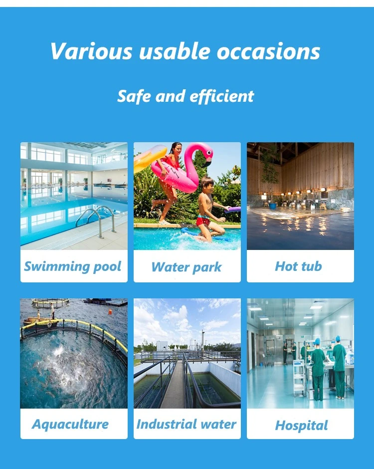 Effervescent Chlorine Tablets for Quick and Effective Water Purification Effervescent Chlorine Tablets for Quick and Effective Water Purification