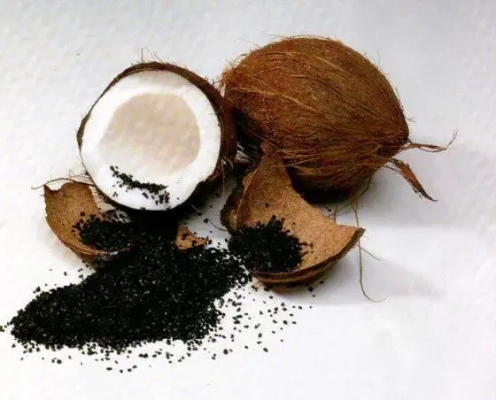 Fornitura in fabbrica Carbone attivo Guscio di cocco Granulare Guscio di cocco Carbone Carbone attivo per uso alimentare