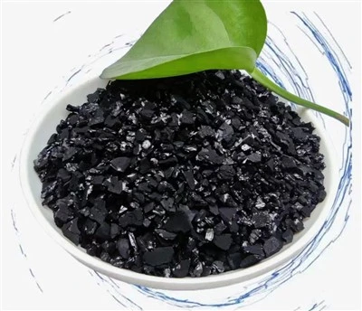 Carbone attivo di guscio di noce di cocco per la purificazione dell'aria e vari trattamenti dell'acqua