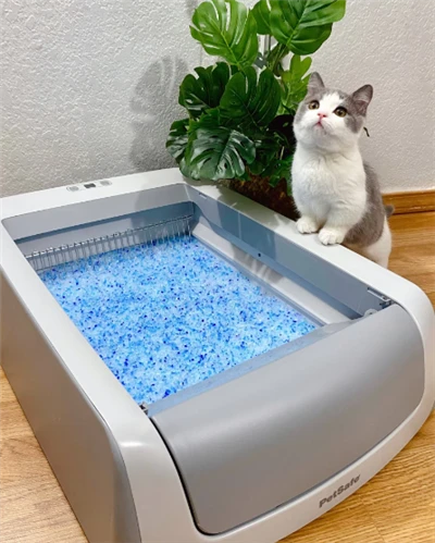 Lettiera per gatti in tofu Campione gratuito di forniture per la pulizia degli animali domestici Lettiera per gatti in gel di silice all'ingrosso