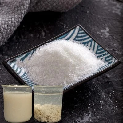 Prodotti chimici per il trattamento delle acque reflue Flocculante Coagulante cationico Pam Powder